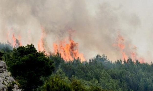 Požar na području Vilanije 13.08.2016.g.