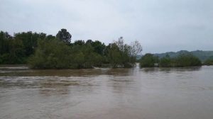 130558825_2783250618662215_8072958540806482779_n-768x431