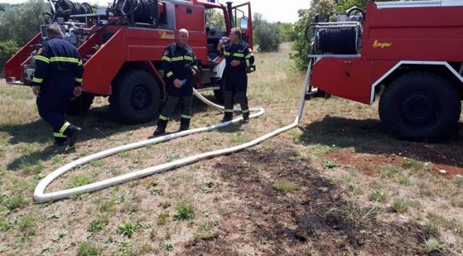 24.07.2018.- POŽAR TRAVE I NISKOG RASLINJA