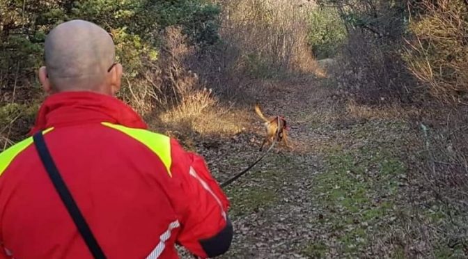 TRENING POTRAGE 🚒🐕